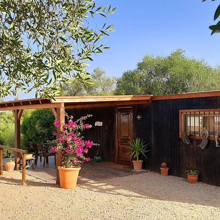 Preciosa Casa De Madera, Andalucia Villa ปราโด เดล เรย์ ภายนอก รูปภาพ