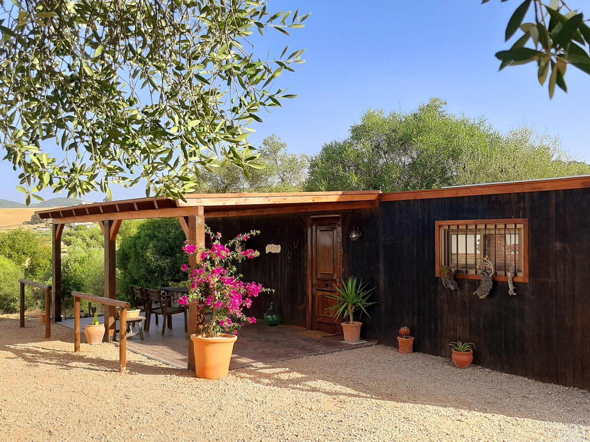 Preciosa Casa De Madera, Andalucia Villa ปราโด เดล เรย์ ภายนอก รูปภาพ